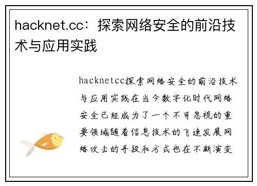 hacknet.cc：探索网络安全的前沿技术与应用实践